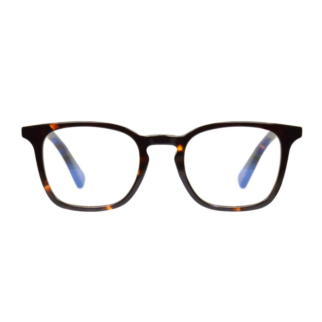 Wes | Tortoise
